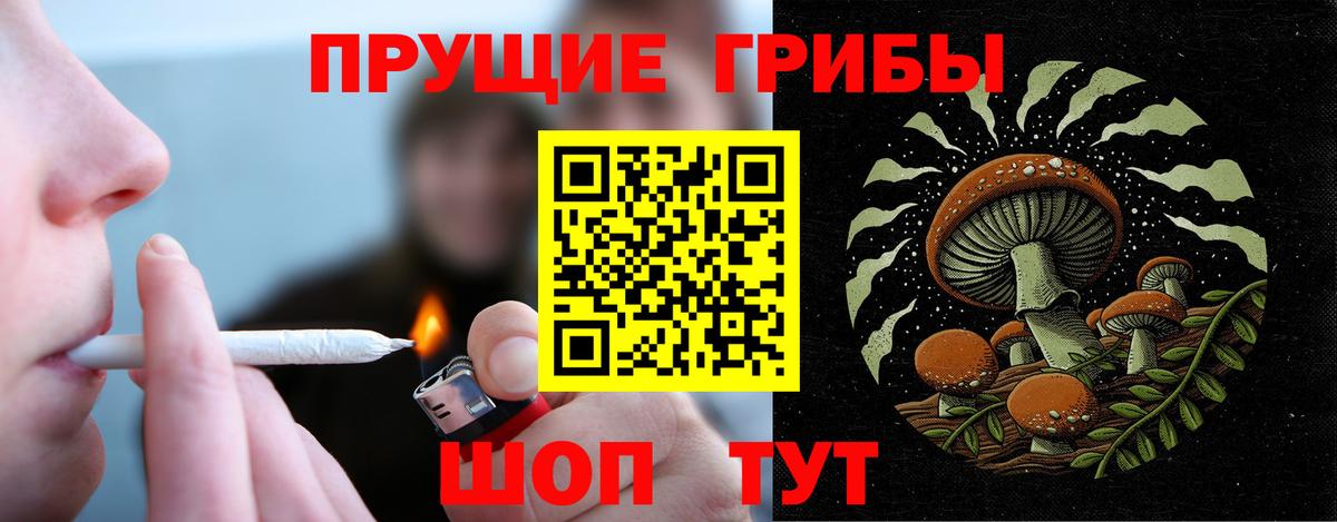 Галлюциногенные грибы Psilocybine cubensis  Галлюциногенные грибы Psilocybe  наркошоп  Вход с VPN  Звенигород 
